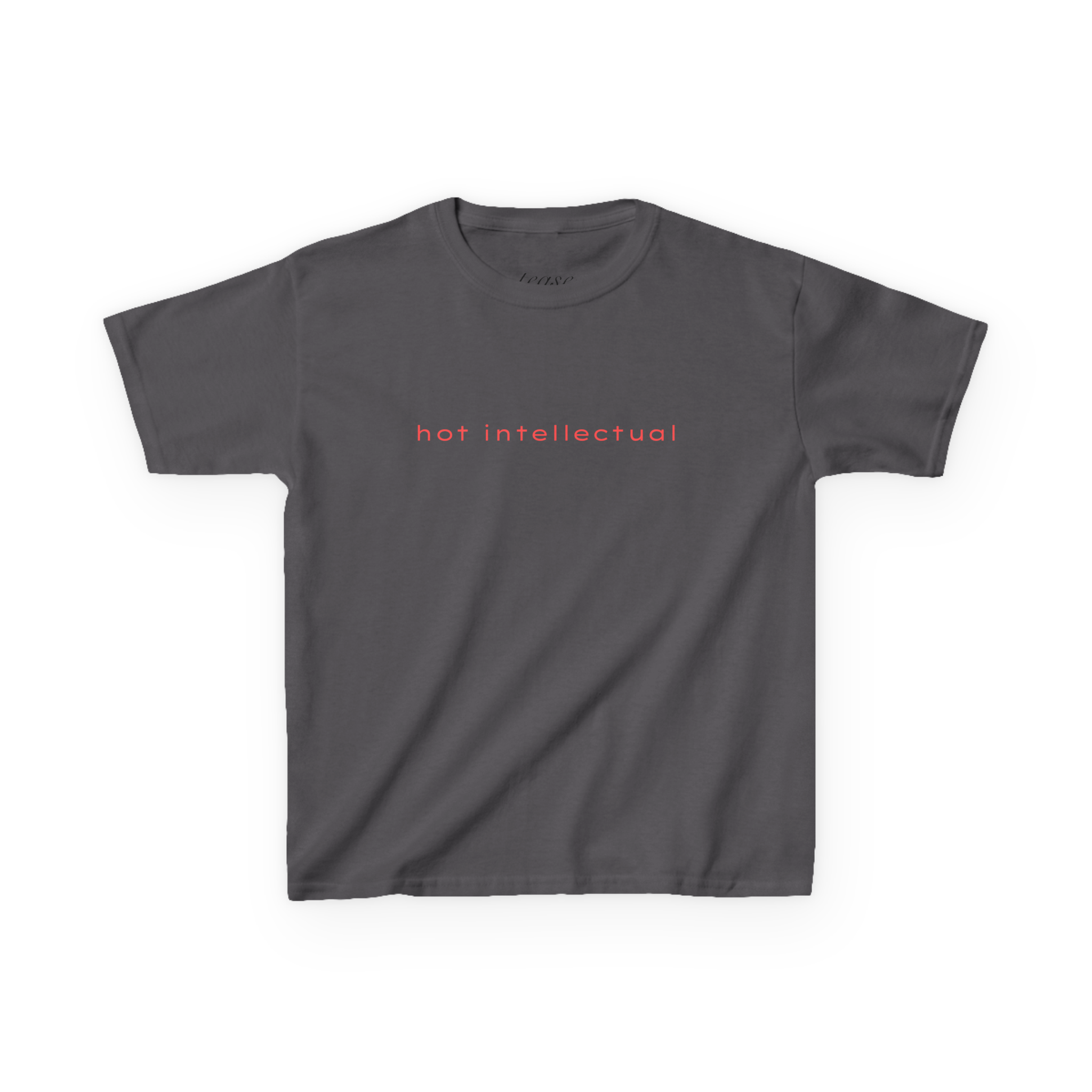 Gray t-shirt with 'hot intellectual' text on a white background