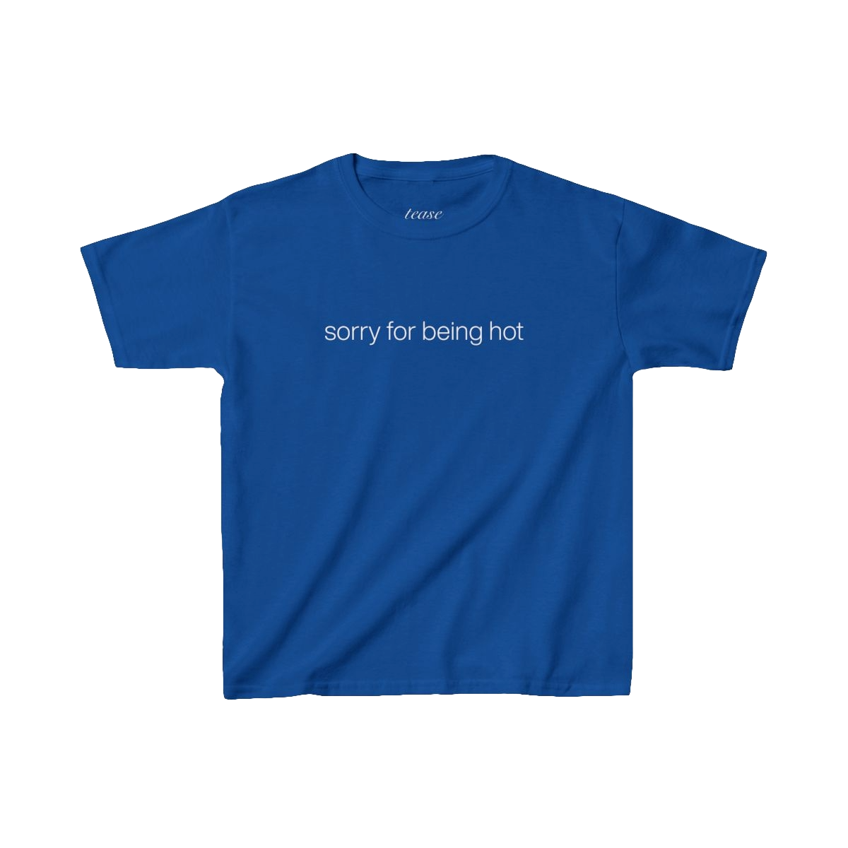 Blue t-shirt with 'sorry for being hot' text on a white background
